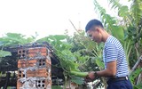 Mâm ngũ quả đặc biệt của lính Trường Sa trong ngày Tết